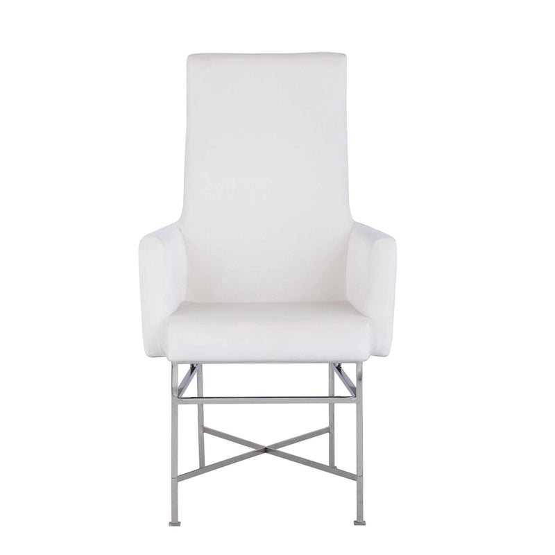 Modern Armchair with Steel Frame